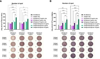 Dectin-1 signaling coordinates innate and adaptive immunity for potent host defense against viral infection